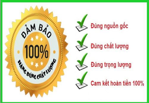 định vị xe máy ô tô s101